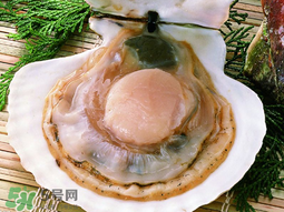 薺菜和扇貝可以一起吃嗎？薺菜扇貝湯的做法