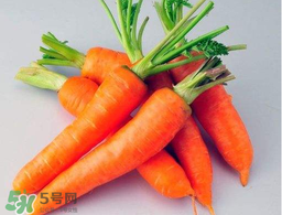 薺菜能和胡蘿卜一起吃嗎？薺菜可以和胡蘿卜一起吃嗎？