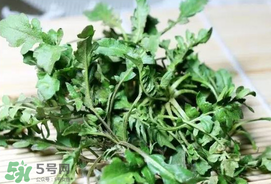 薺菜能和青菜一起吃嗎？薺菜和青菜一起吃好嗎？