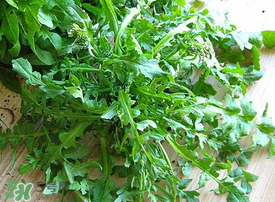 薺菜上有白點(diǎn)能吃嗎？薺菜背面有白點(diǎn)是什么？
