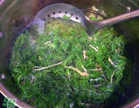 薺菜怎么焯水？薺菜焯水多久？