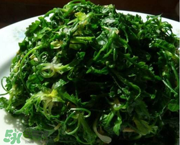 薺菜焯水后冷凍好嗎？薺菜焯水后能放多久？