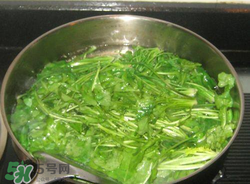 薺菜焯水后冷凍好嗎？薺菜焯水后能放多久？
