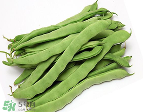 三月份可以種豆角嗎？豆角幾月份種？
