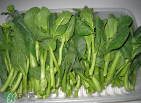 青菜苔可以吃嗎？青菜苔怎么做好吃？