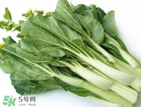 青菜苔可以吃嗎？青菜苔怎么做好吃？