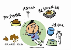 諾如病毒感染要隔離嗎？諾如病毒會(huì)傳染嗎？