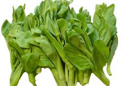 青菜苔可以吃嗎？青菜苔怎么做好吃？