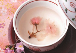 桃花酒孕婦可以喝嗎？懷孕了能喝桃花酒嗎？
