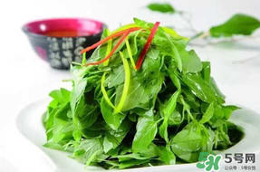 薺菜不能和什么一起吃？薺菜和什么相克？