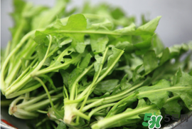 薺菜不能和什么一起吃？薺菜和什么相克？