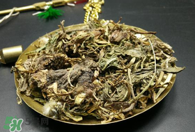 干的蒲公英多少錢(qián)一斤？蒲公英多少錢(qián)一斤干的？