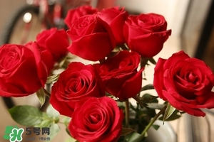 什么東西清火效果好？什么東西清火最快？