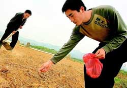 三月份可以種花生嗎？花生幾月份播種比較好？