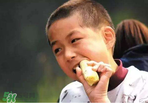 春天能吃甘蔗嗎？春天吃甘蔗有什么好處？