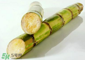 春天能吃甘蔗嗎？春天吃甘蔗有什么好處？