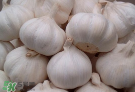大蒜爛了一點還能吃嗎？大蒜爛根是怎么回事？