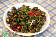 螺螄可以放冰箱保存嗎？新鮮螺螄能放冰箱嗎？