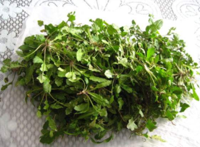 野生薺菜幾月份有？野生薺菜什么時候有？