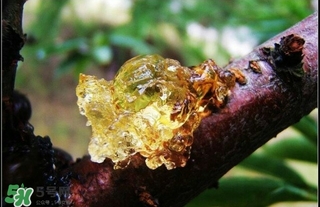 吃什么對皮膚好？怎么吃皮膚好？