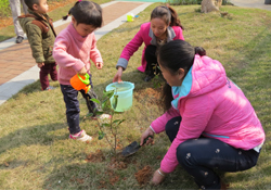 植樹節(jié)一般種什么樹？植樹節(jié)種什么樹比較好？