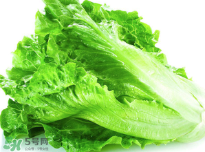 春天能種生菜嗎？生菜春天可以種嗎？
