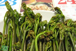 蕨菜為什么苦？蕨菜苦是怎么回事？