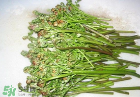 蕨菜怎么去苦味？蕨菜怎么做不苦？