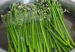 蕨菜怎么洗？蕨菜怎么清洗才干凈？