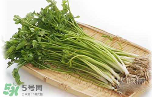 吃野芹菜會中毒嗎？吃野芹菜中毒了怎么辦？