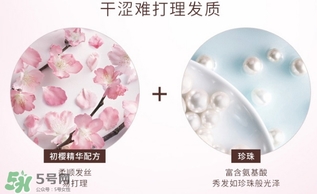淳萃水舞櫻花護發(fā)素多少錢？淳萃水舞櫻花護發(fā)素價格