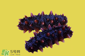 春天能吃海參嗎？春天吃海參效果好嗎？
