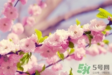 春天容易得水痘嗎？春天是水痘的高發(fā)季節(jié)嗎？