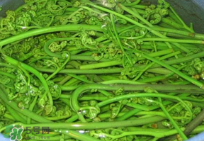 蕨菜怎么洗？蕨菜怎么清洗才干凈？