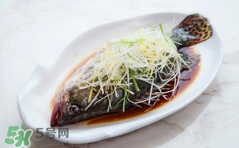 清蒸魚(yú)的做法 清蒸魚(yú)怎么做