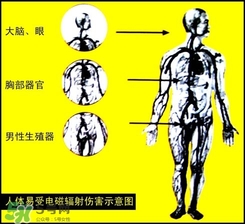 防輻射服什么時候開始穿？防輻射服真的有用嗎？