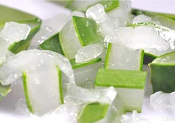 出水痘能用蘆薈膠嗎？水痘破了能擦蘆薈膠嗎？