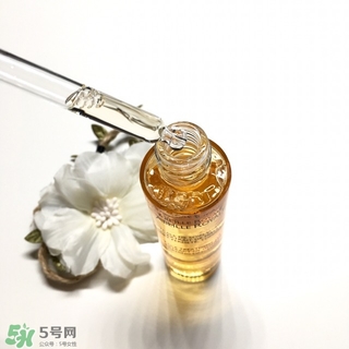 嬌蘭黃金蜜原蜜怎么用？嬌蘭黃金蜜原蜜使用方法