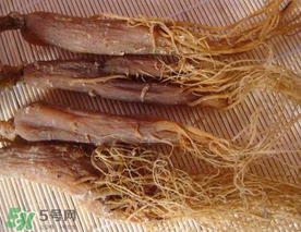 春天能吃紅參嗎？春天可以吃紅參嗎？