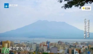 明治膠原蛋白粉怎么吃？明治膠原蛋白粉用法用量