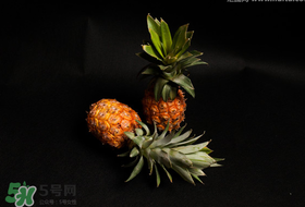 春天可以吃菠蘿嗎？春天吃菠蘿有什么好處？