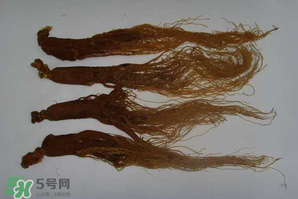 紅參可以天天吃嗎？紅參的功效與作用