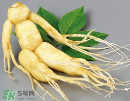 春天能吃高麗參嗎？春天可以喝高麗參湯嗎？