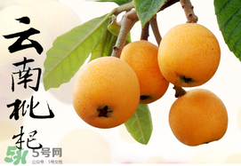 枇杷能放冰箱嗎？枇杷可以放冰箱保存嗎？