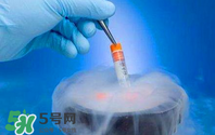 凍卵是什么？凍卵子需要多少錢？