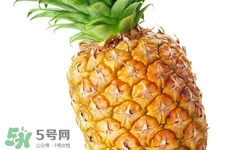 吃菠蘿太多會(huì)胃痛嗎？為什么吃菠蘿會(huì)胃痛？