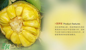菠蘿蜜和榴蓮的區(qū)別 菠蘿蜜和榴蓮哪個好吃？