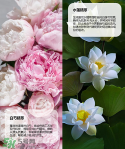 羽西丁一晨限定護(hù)膚品多少錢？羽西丁一晨限定價(jià)格
