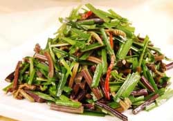 糖尿病能吃蕨菜嗎？糖尿病可以吃蕨菜嗎？