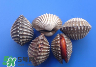 泥蚶怎么讀？泥蚶做法